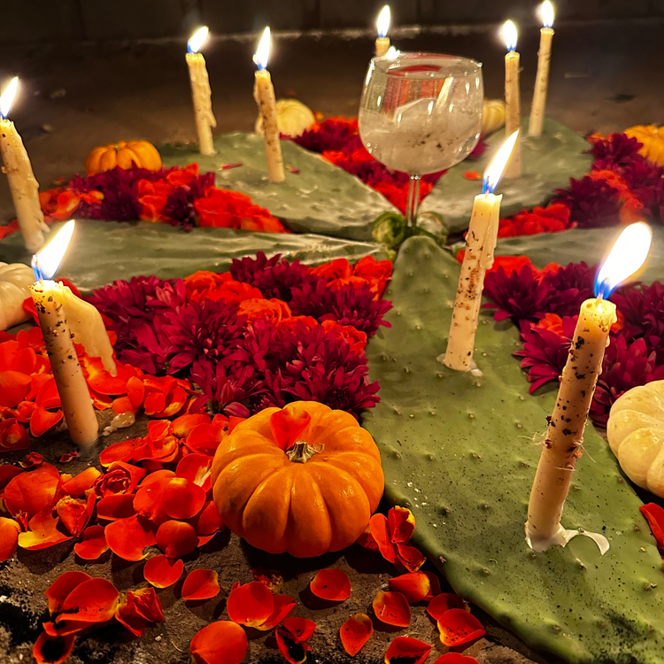 White candles burning on top of flowers, pumpkins and cactus pads