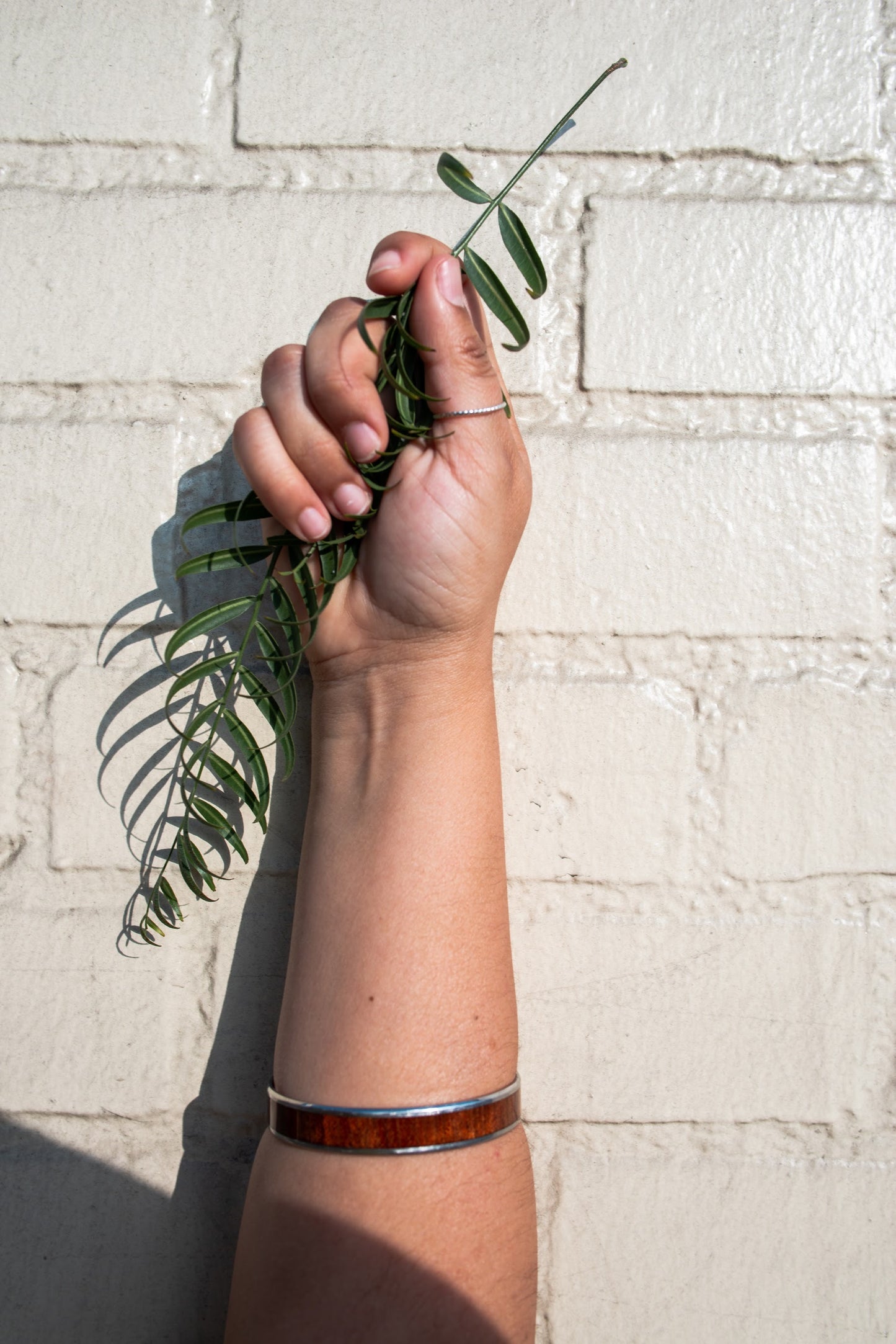 A person's hand holding a green leafy herb against a white brick wall