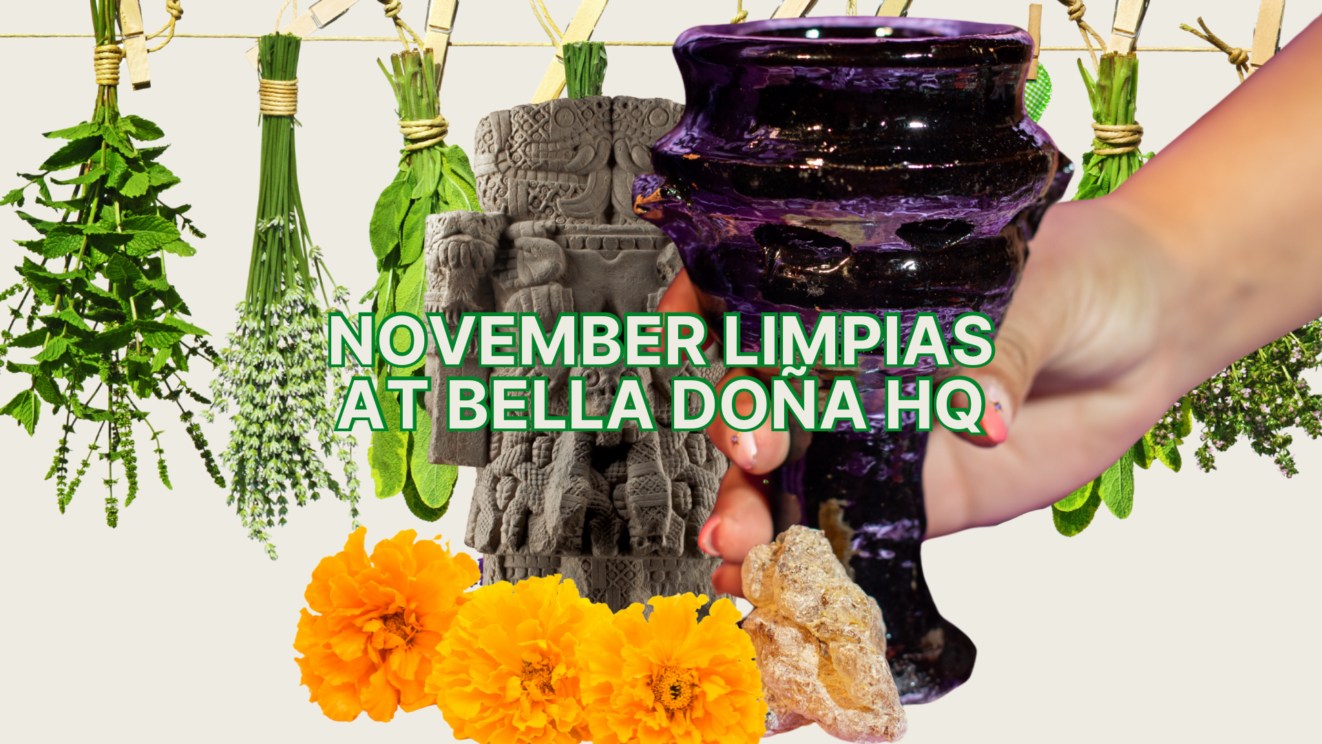 Purple container held by a hand with text 'November Limpias at Bella Doná HQ' against a background of green plants and flowers.