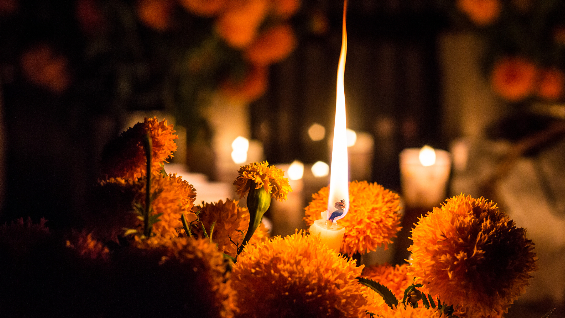 Orange flowers  surround a yellow candle with a large flame