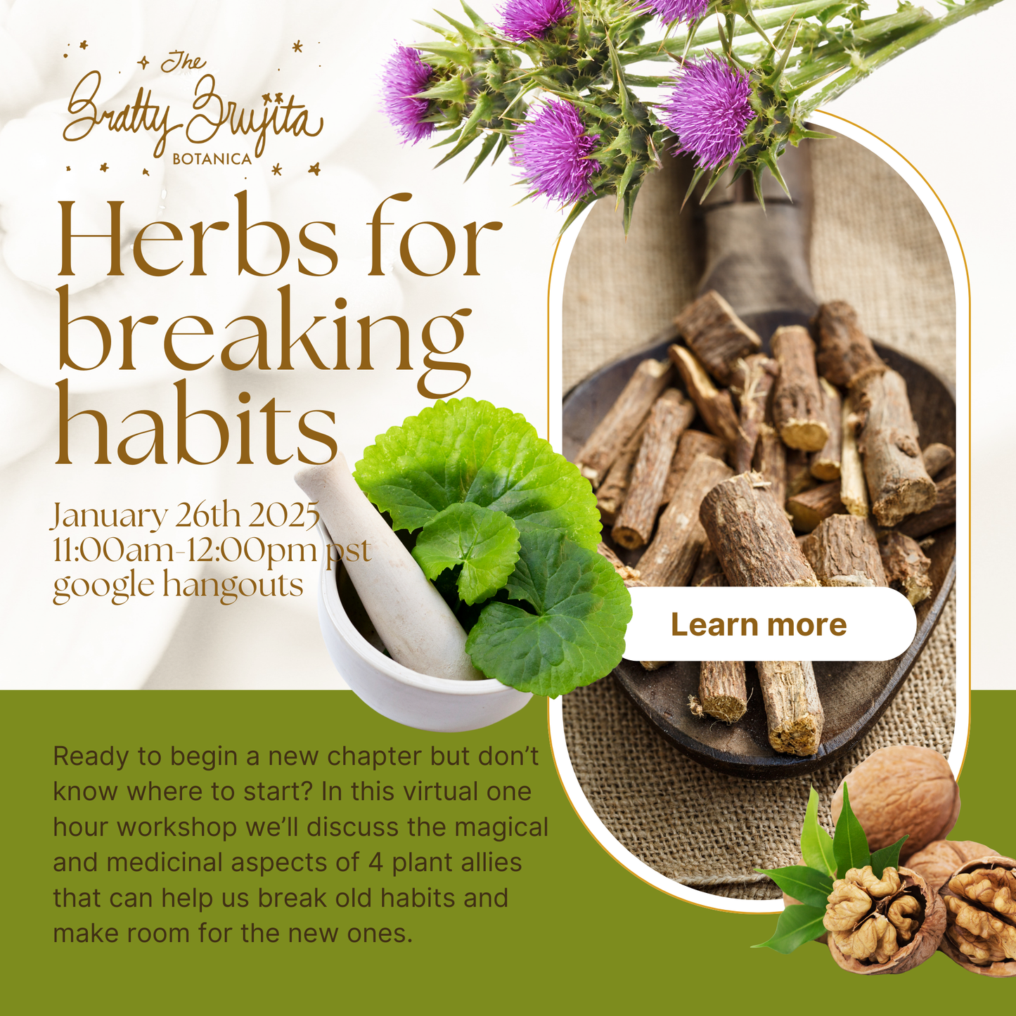 Winter Workshop: Herbs for breaking habits (January 26th 2025) 11am-12pm PST (virtual)